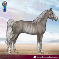 Horse Color:Silver Smoky Black Rabicano 