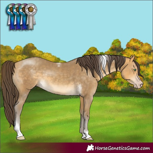 Horse Color:Sable Cream Champagne Tobiano Rabicano 