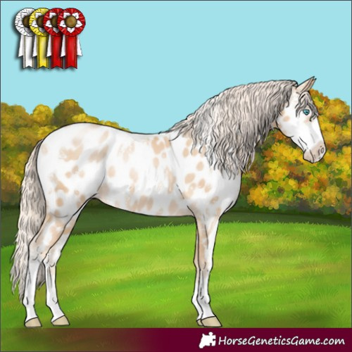 Horse Color:Palomino Pearl Sabino Appaloosa Rabicano 