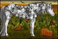 Horse Color:Liver Chestnut Sabino  and Liver Chestnut Sabino 