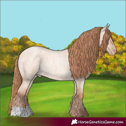 Horse Color:Gold Champagne Roan Dun 