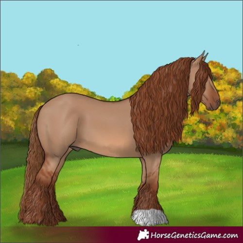 Horse Color:Red Dun