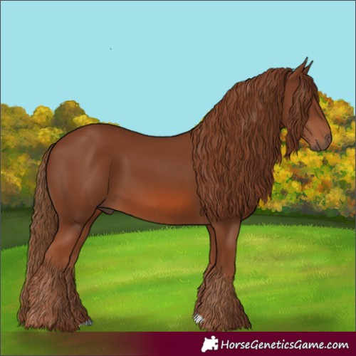 Horse Color:Chestnut 