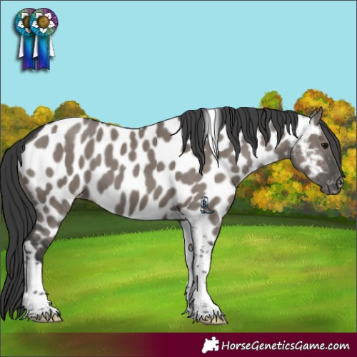 Horse Color:Grullo Tobiano Appaloosa Brindle 