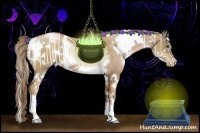 Horse Color:White Spotted Liver Chestnut Pearl 