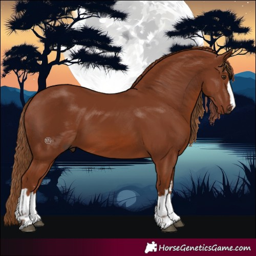 Horse Color:Chestnut 