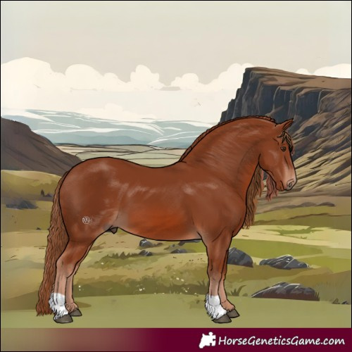 Horse Color:Chestnut 