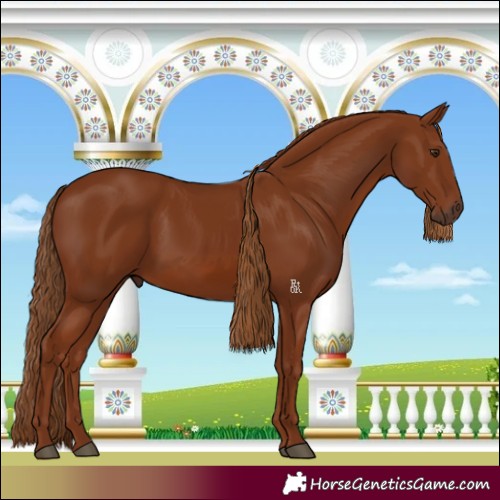 Horse Color:Chestnut 