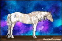 Horse Color:White Spotted Chocolate Palomino Pearl 