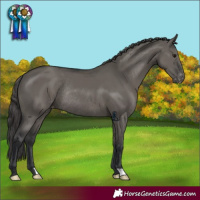 Horse Color:Grullo Varnish Rabicano