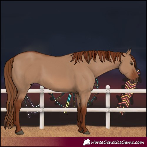 Horse Color:Red Dun 