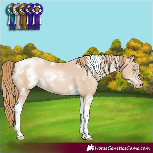 Horse Color:White Spotted Smoky Black Pearl Tobiano Rabicano 