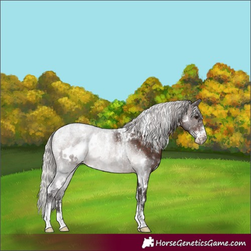Horse Color:Powder White White Spotted Silver Brown