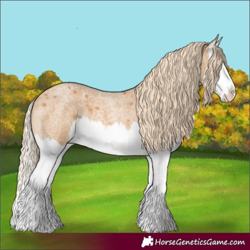 Horse Color:Palomino Roan Splash 