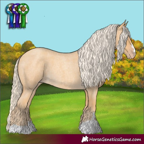 Horse Color:Gold Cream Champagne Roan 
