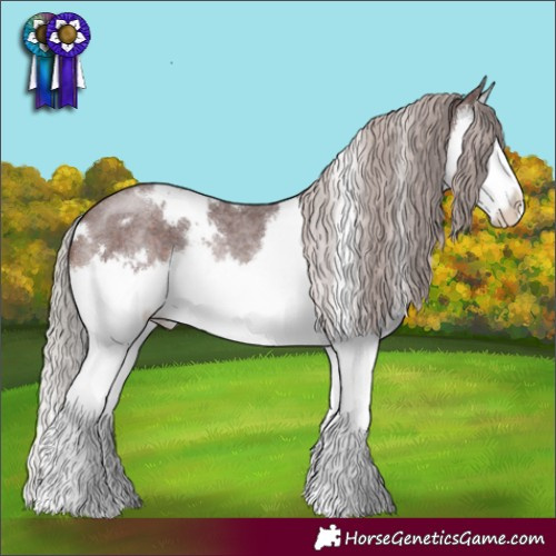 Horse Color:White Spotted Chocolate Silver Brown Roan Splash