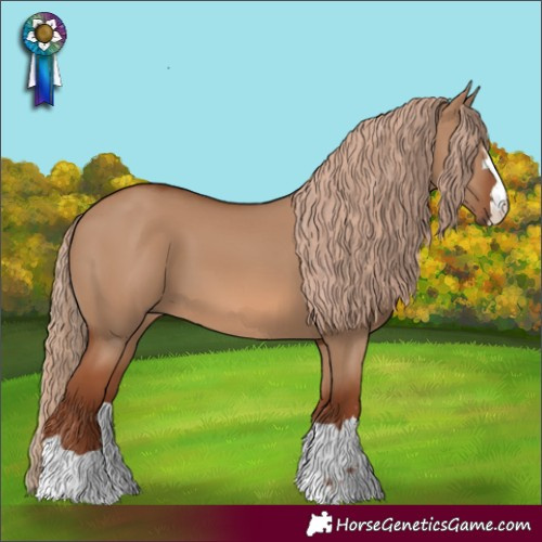 Horse Color:Red Dun 