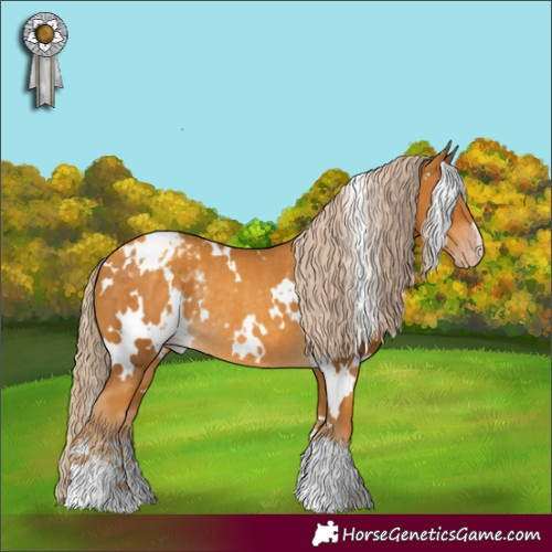 Horse Color:Gray White Spotted Gold Cream Champagne Appaloosa Rabicano 