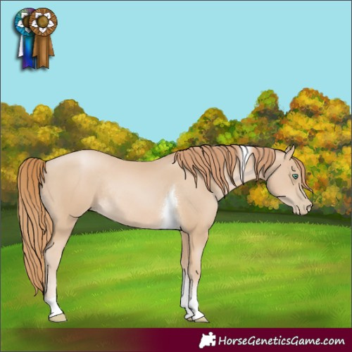 Horse Color:Smoky Black Pearl Tobiano Rabicano 