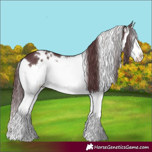 Horse Color:White Spotted Chocolate Brown Splash 