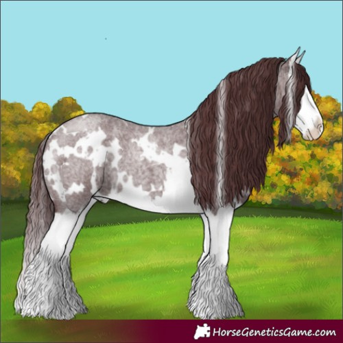 Horse Color:White Spotted Chocolate Brown Roan Splash