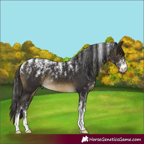 Horse Color:Powder White Buckskin 