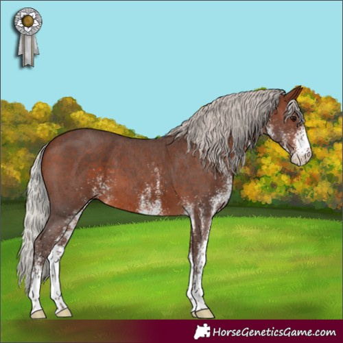 Horse Color:White Spotted Silver Bay 
