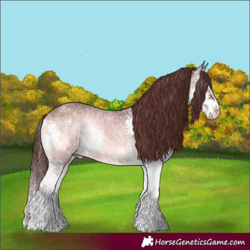 Horse Color:Chocolate Brown Ice Onyx Sabino Splash