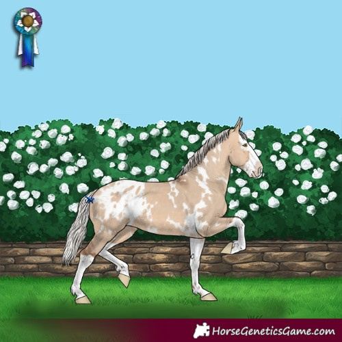 Horse Color:White Spotted Silver Bay Dun Splash Blanket