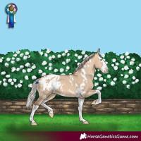 Horse Color:White Spotted Silver Bay Dun Splash Blanket 