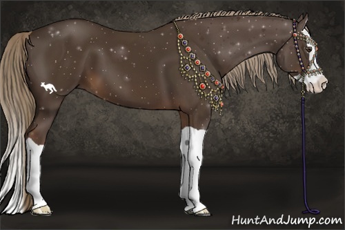 Horse Color:Liver Chestnut Splash 
