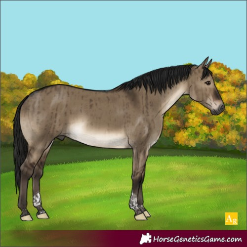 Horse Color:Gray Brown Dun Tobiano Rabicano Brindle 