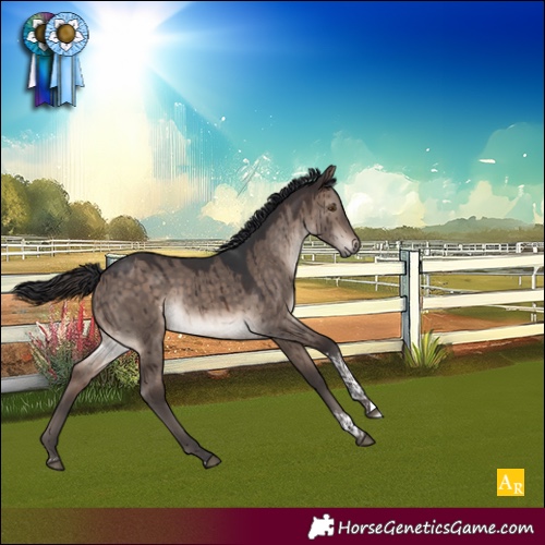 Horse Color:Brown Dun Mushroom Tobiano Rabicano Brindle 