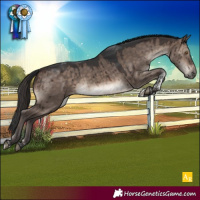 Horse Color:Brown Dun Mushroom Tobiano Rabicano Brindle