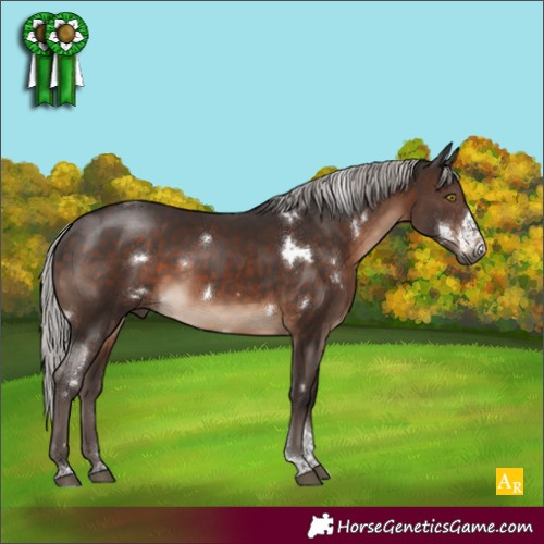 Horse Color:White Spotted Silver Brown Tobiano Rabicano 