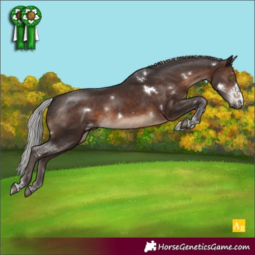 Horse Color:White Spotted Silver Brown Tobiano Rabicano