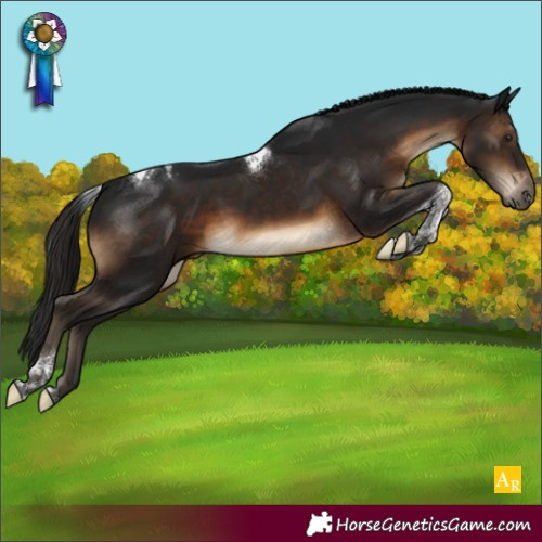 Horse Color:Gray Brown Tobiano Varnish Rabicano 