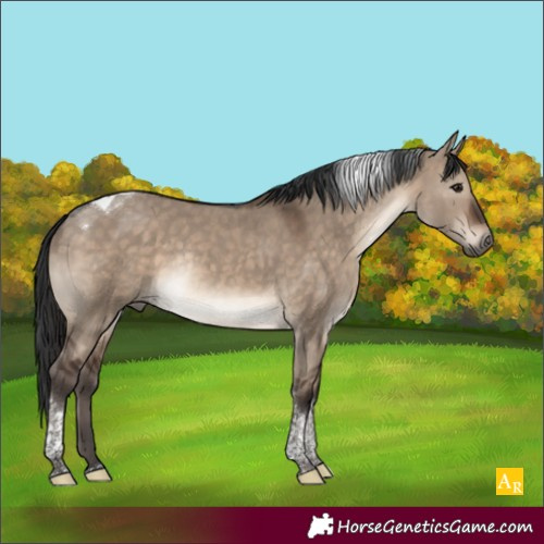 Horse Color:Brown Dun Tobiano Rabicano 