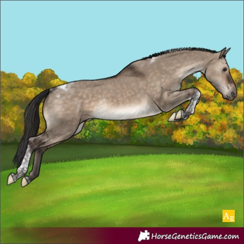Horse Color:Brown Dun Tobiano Rabicano