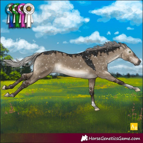 Horse Color:Gray Silver Brown Dun Mushroom Tobiano Appaloosa