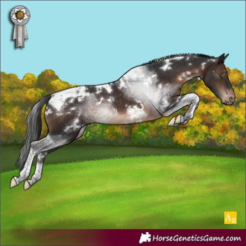 Horse Color:White Spotted Brown Tobiano Varnish Rabicano