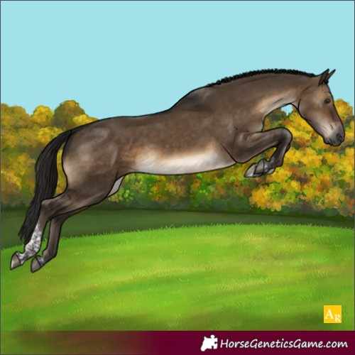 Horse Color:Gray Brown Dun Tobiano Rabicano 