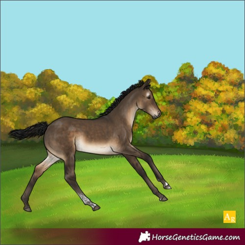 Horse Color:Gray Brown Dun Tobiano Rabicano 