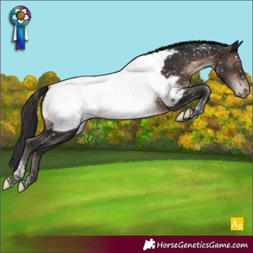 Horse Color:Brown Mushroom Tobiano Near Fewspot Rabicano