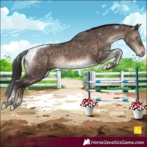 Horse Color:Brown Dun Mushroom Tobiano Appaloosa Rabicano Brindle