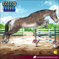 Horse Color:Brown Dun Mushroom Tobiano Blanket Rabicano Brindle 