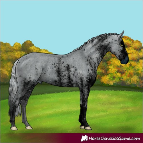 Horse Color:ERROR: UNKNOWN ANOMALY