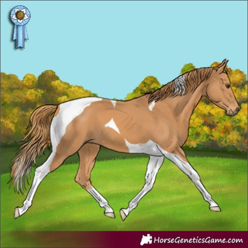 Horse Color:Chestnut Tobiano 
