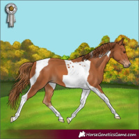 Horse Color:Chestnut Tobiano 
