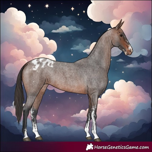 Horse Color:Brown Roan Sabino Blanket